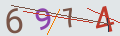 verifycode